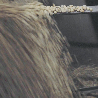The Clubhouse Roast | Coffee | Ground and Whole Beans | 250G